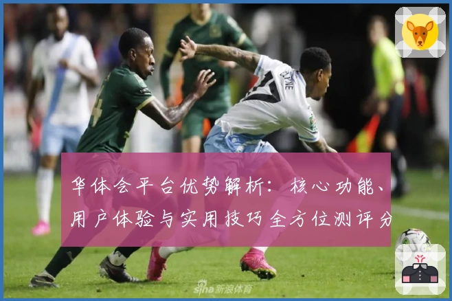 华体会平台优势解析：核心功能、用户体验与实用技巧全方位测评分析