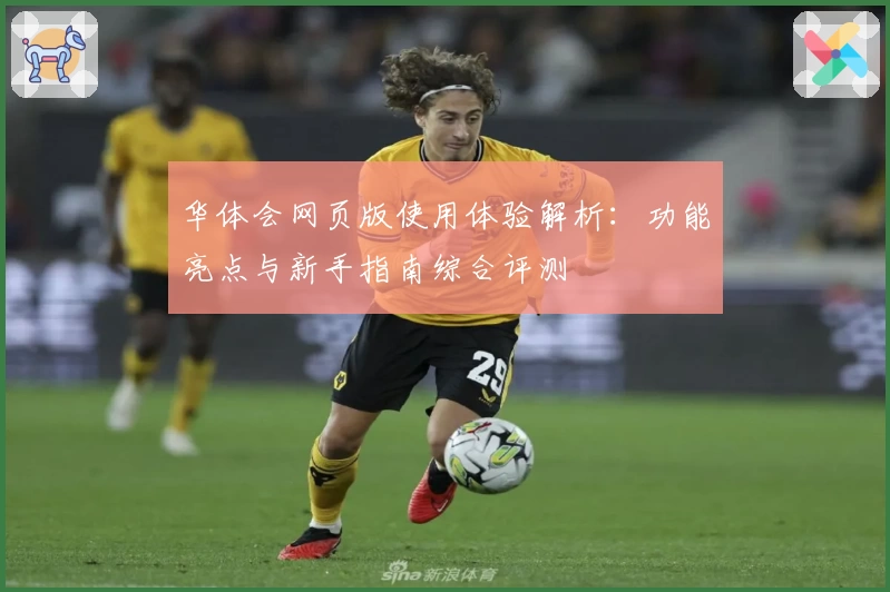 华体会网页版使用体验解析：功能亮点与新手指南综合评测