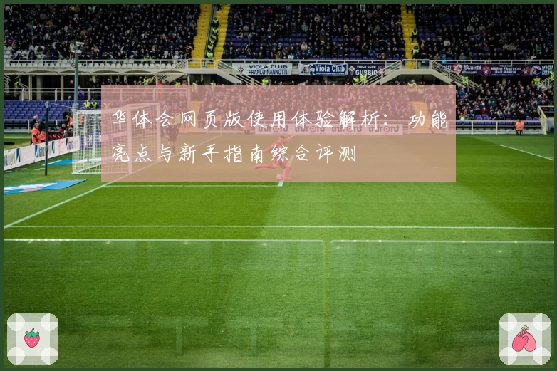 华体会网页版使用体验解析：功能亮点与新手指南综合评测